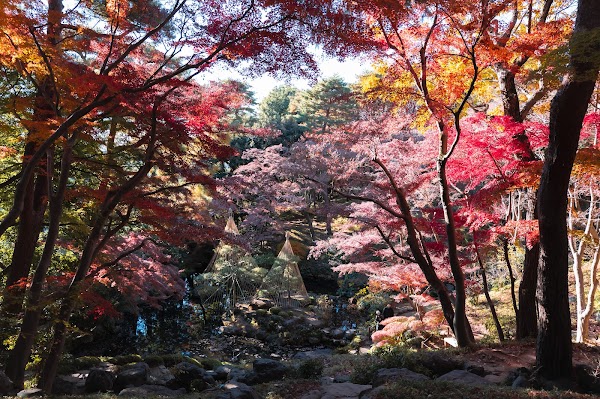 Tonogayato Garden 5