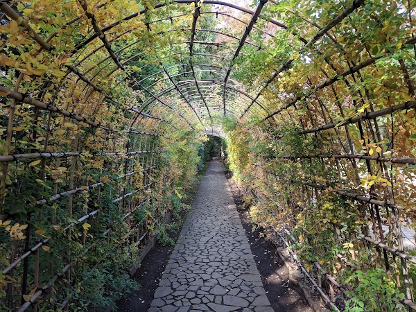 Tonogayato Garden 4