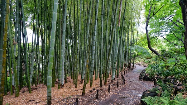 Tonogayato Garden 3