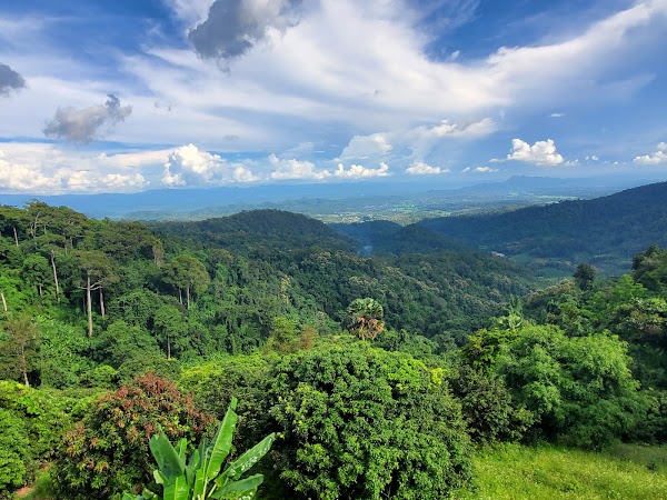 Lychee Viewpoint 1