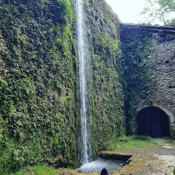 Pagoetako parke naturala