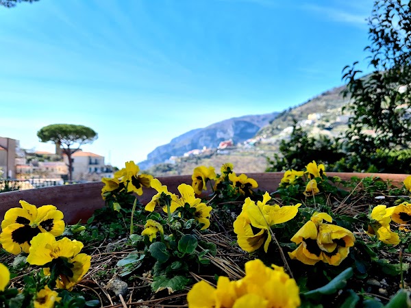 Ravello 4
