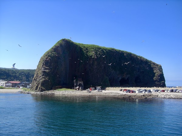 Oronko Rock 5