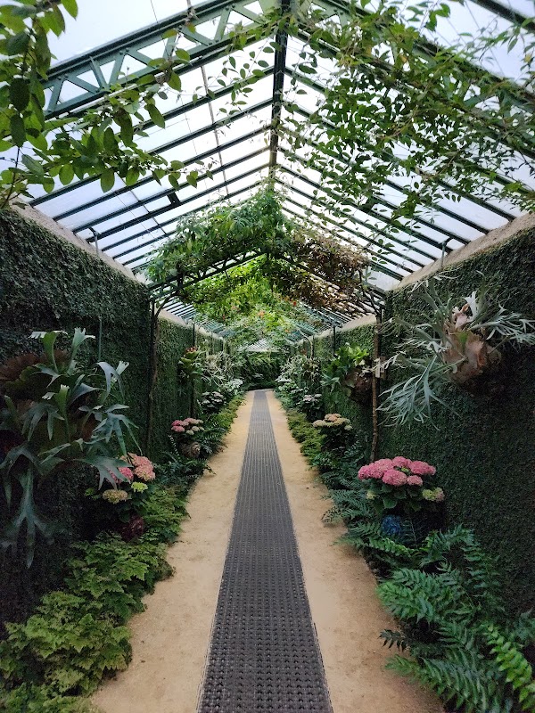 Royal Greenhouses of Laeken 2