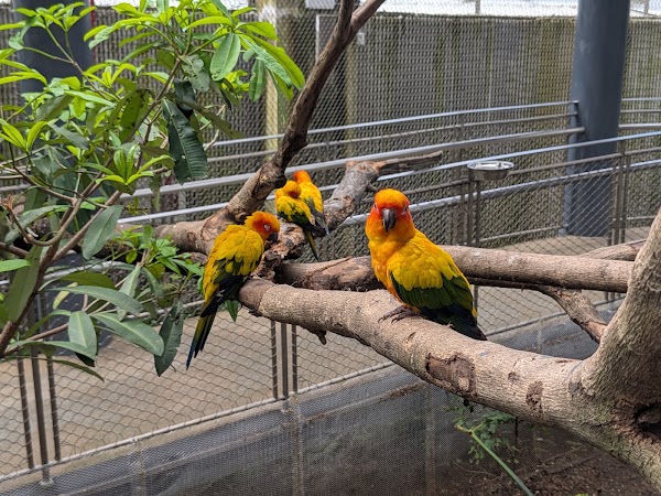 Philippine Biodome 5