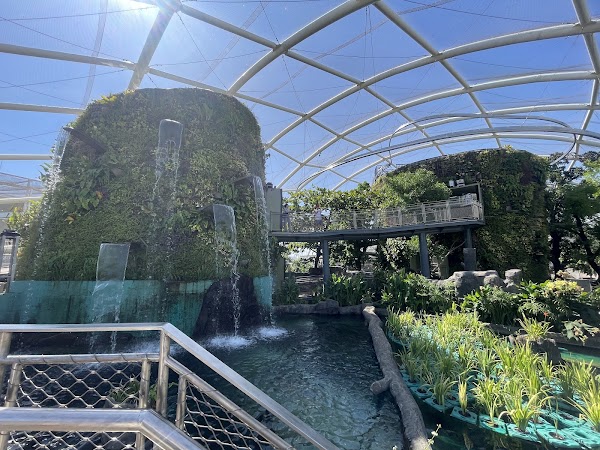 Philippine Biodome 4
