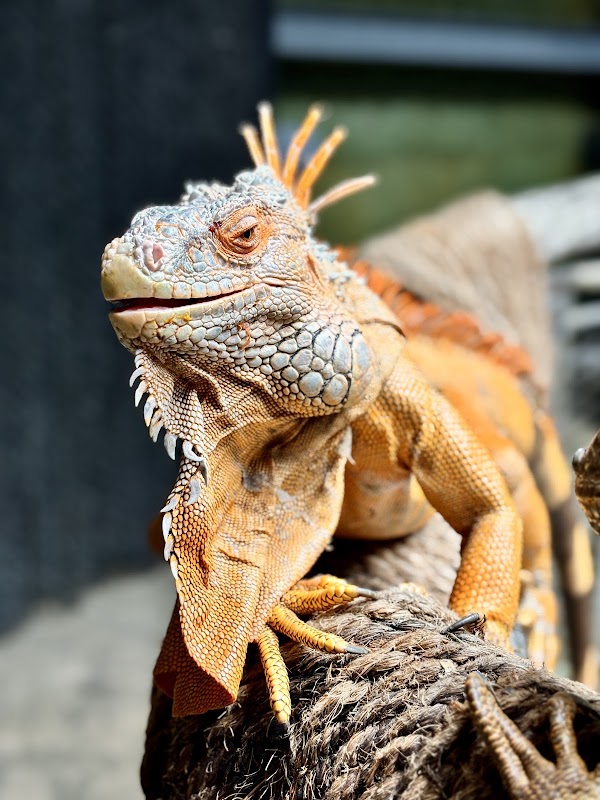 Philippine Biodome 2