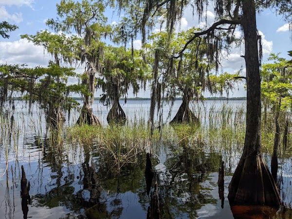 The Nature Conservancy's Disney Wilderness Preserve 4