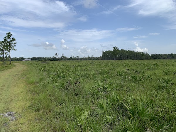The Nature Conservancy's Disney Wilderness Preserve 2