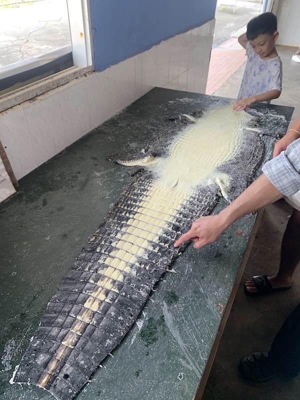 Long Kuan Hung Crocodile Farm Pte Ltd (NO WALK IN VISIT! ONLY GUIDED TOUR) 4