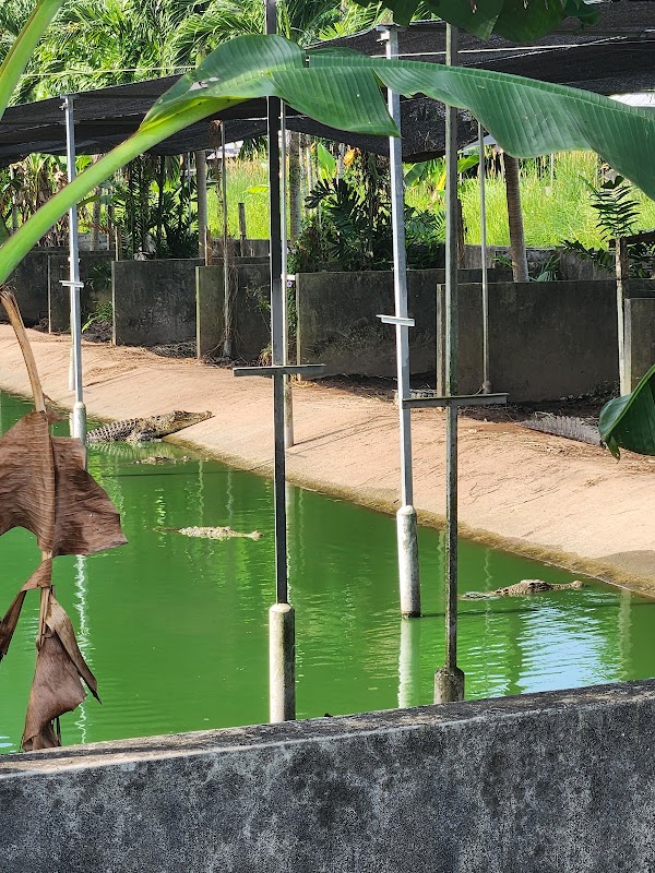 Long Kuan Hung Crocodile Farm Pte Ltd (NO WALK IN VISIT! ONLY GUIDED TOUR) 3