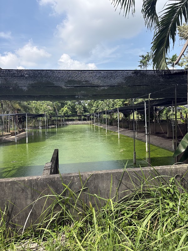 Long Kuan Hung Crocodile Farm Pte Ltd (NO WALK IN VISIT! ONLY GUIDED TOUR) 2