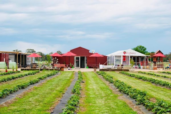 The Berry Dairy