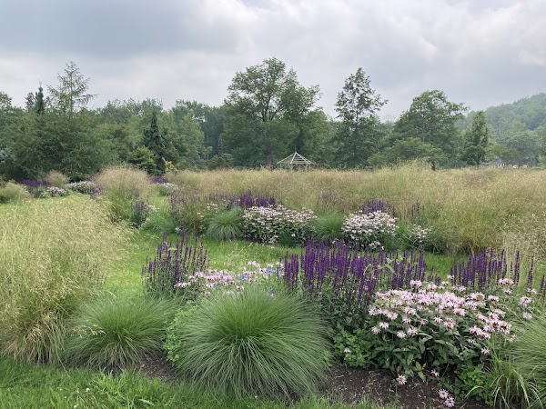Mountain Top Arboretum 1
