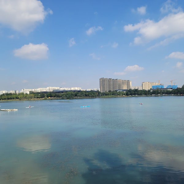 Jincheng Lake 4