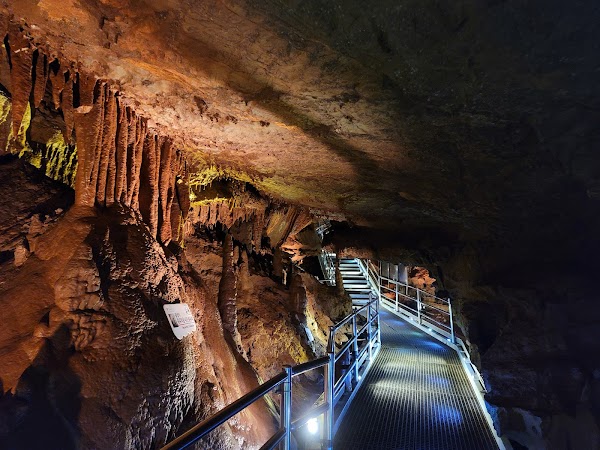 Cheongok Golden Bat Cave