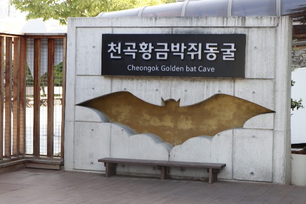 Cheongok Golden Bat Cave 5