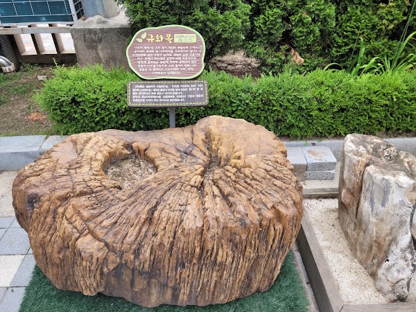 Cheongok Golden Bat Cave 2