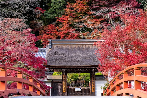 Murou-ji 5