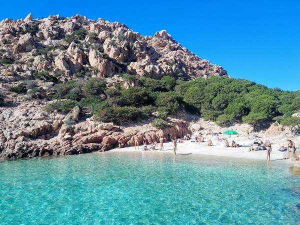 Cala Coticcio Beach 5