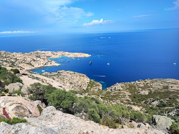 Cala Coticcio Beach 4