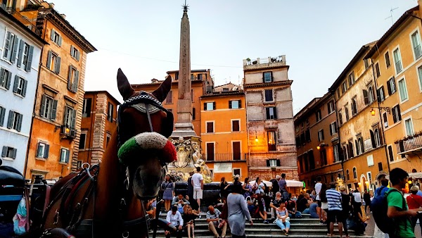 Piazza della Rotonda 2