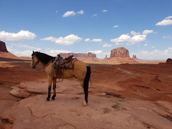 John Ford Point 4