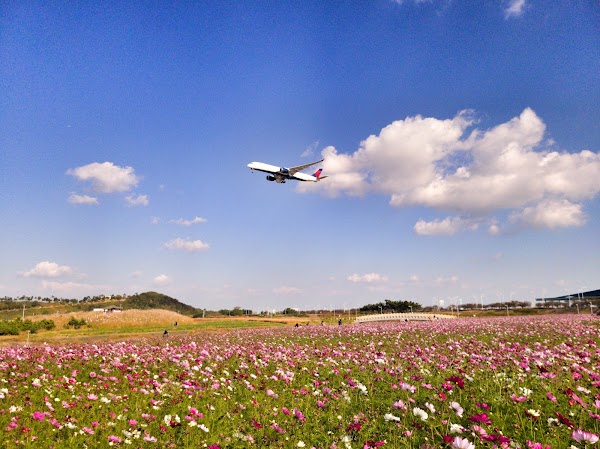 Sky Garden (Haneul Jeong-Won) - Incheon Airport 3
