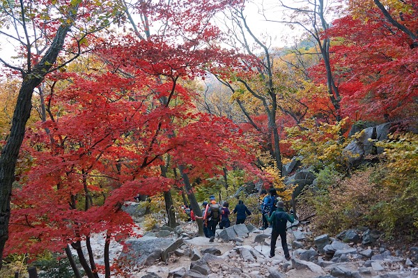 Bukhansan National Park 4
