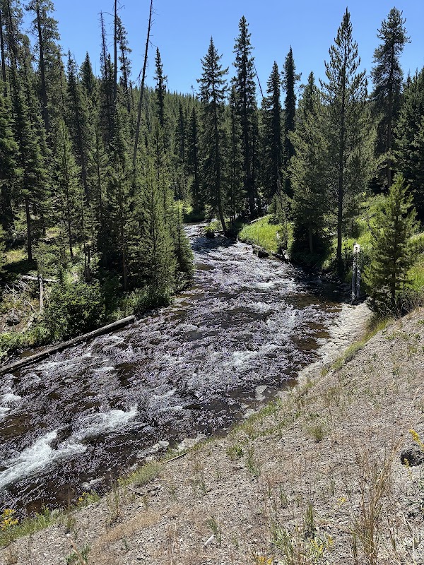 Mystic Falls Trail 1