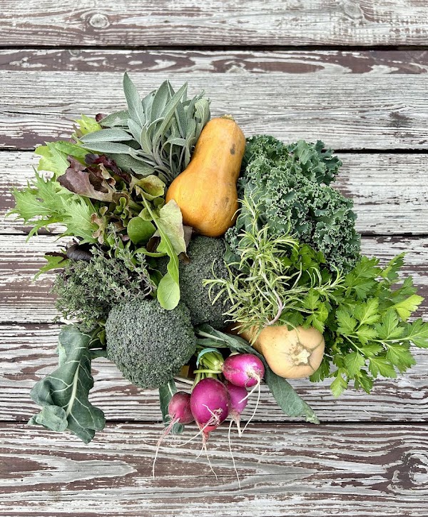 Share the Harvest Farm 5