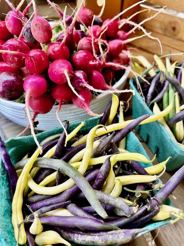 Share the Harvest Farm 3