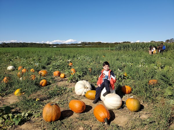Share the Harvest Farm 2