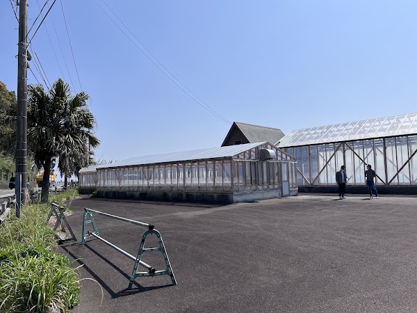 土佐の塩丸 塩づくり体験 4
