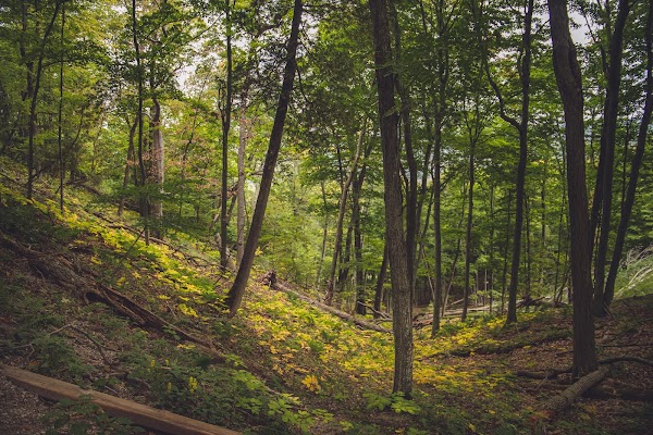 Empire Bluff Trail 4