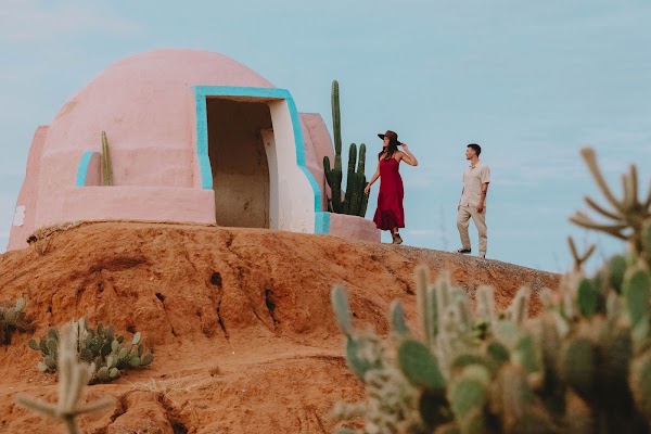 Cactus Country