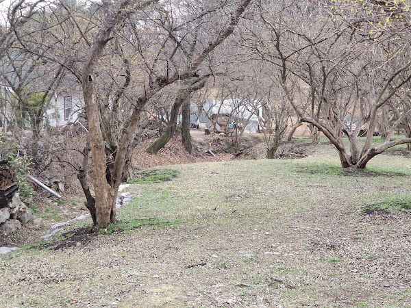 Sansuyu Village 4