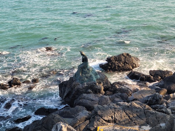 동백섬 해안산책로 5