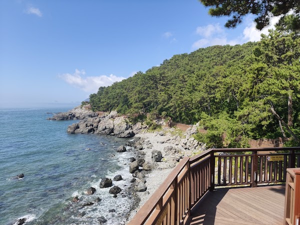 동백섬 해안산책로 2
