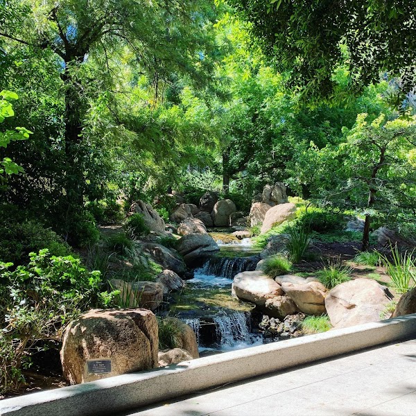 Japanese Friendship Garden of Phoenix 3