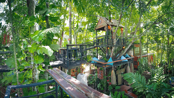 The tree house cafe 3