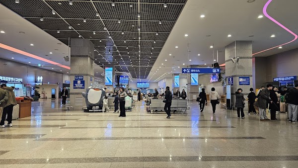 Pan Star Cruise (Busan Port Intl Passenger Terminal) 5
