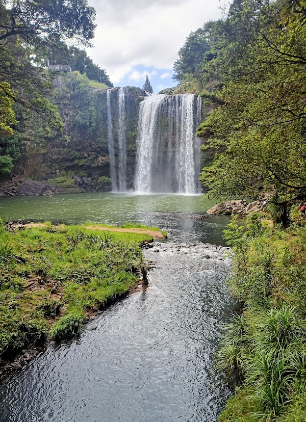 Whangārei Falls