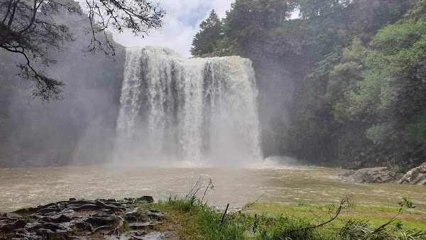 Whangārei Falls 5