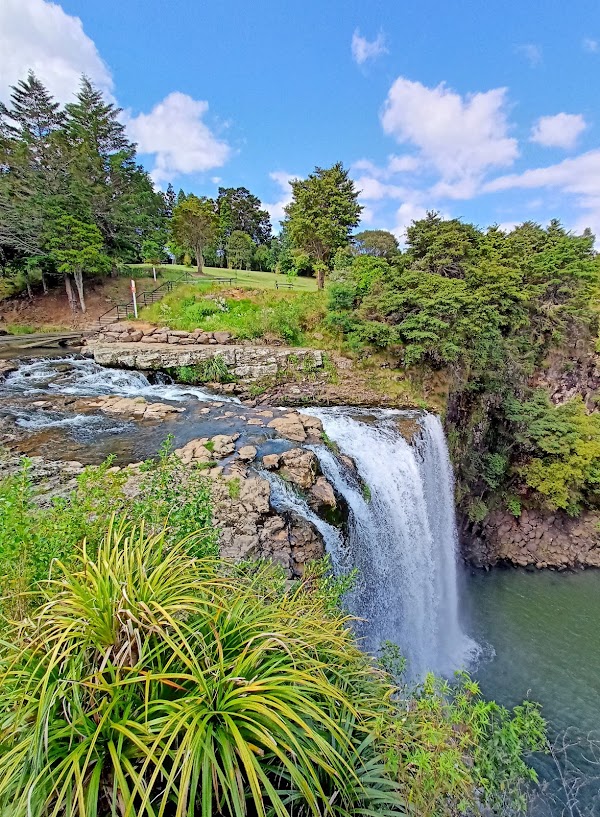 Whangārei Falls 4