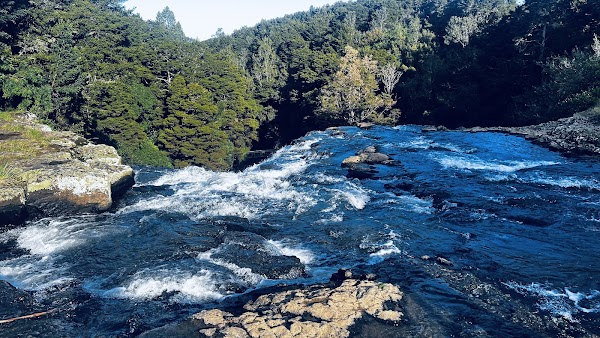 Whangārei Falls 3