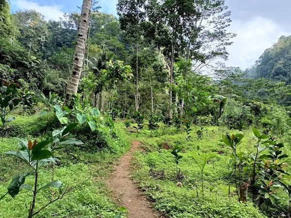 Kapas Biru Waterfall 2