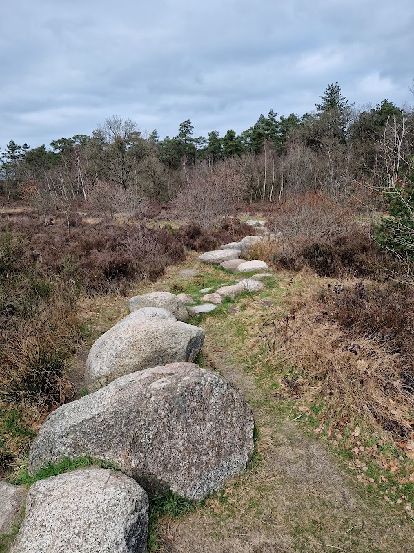 Belevingspad Hoogersmilde 4