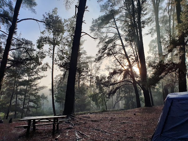 Nanga Mill Campground 5