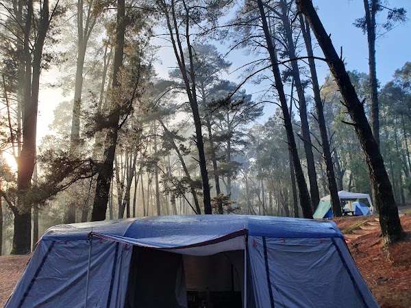 Nanga Mill Campground 4